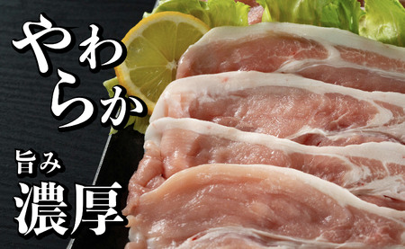 【6回定期便】 長崎県産 豚肉 モモスライス 1.6kg (400g×4) 総計9.6kg 定期便 小分け 冷凍 豚肉 しゃぶしゃぶ すき焼き ぶたにく 国産豚 6回 定期便 