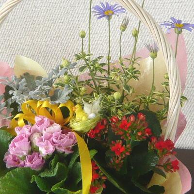 ふるさと納税 朝倉市 季節のフラワーバスケット |  | 02