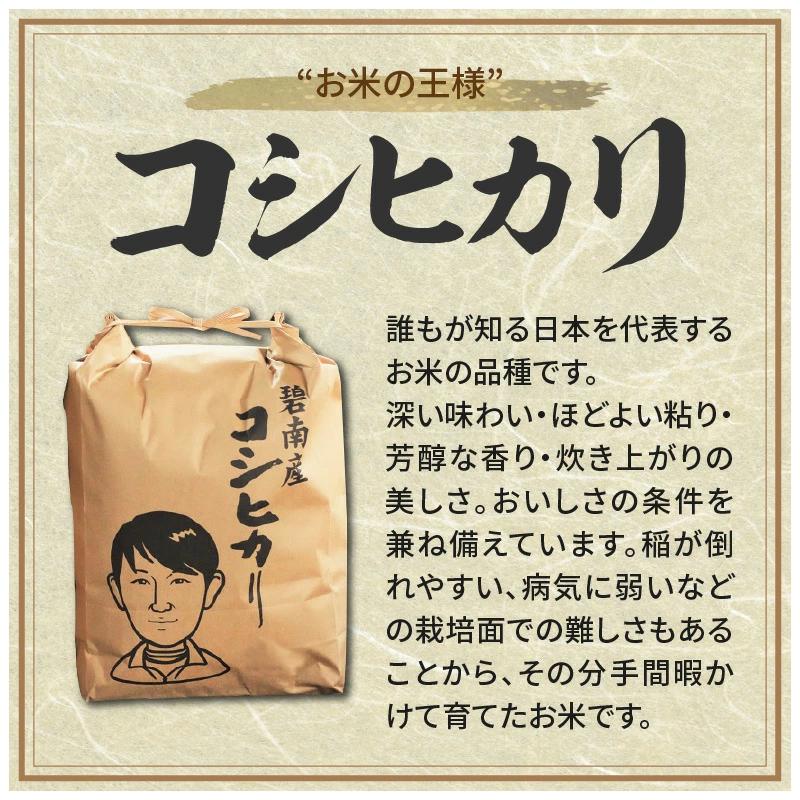 〈数量限定〉【幻の潮かぶり米】令和7年産新米 あいちのかおり&コシヒカリ2品種 食べ比べ10kg（5kg×2袋） 令和７年度産　新米　米 コメ 新米 あいち 愛知 かおり コシヒカリ こしひかり 数量
