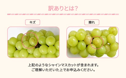 【先行予約】訳あり シャインマスカット 約2kg(2～6房程度) 令和9年産 2027年産 sb-busmw2000