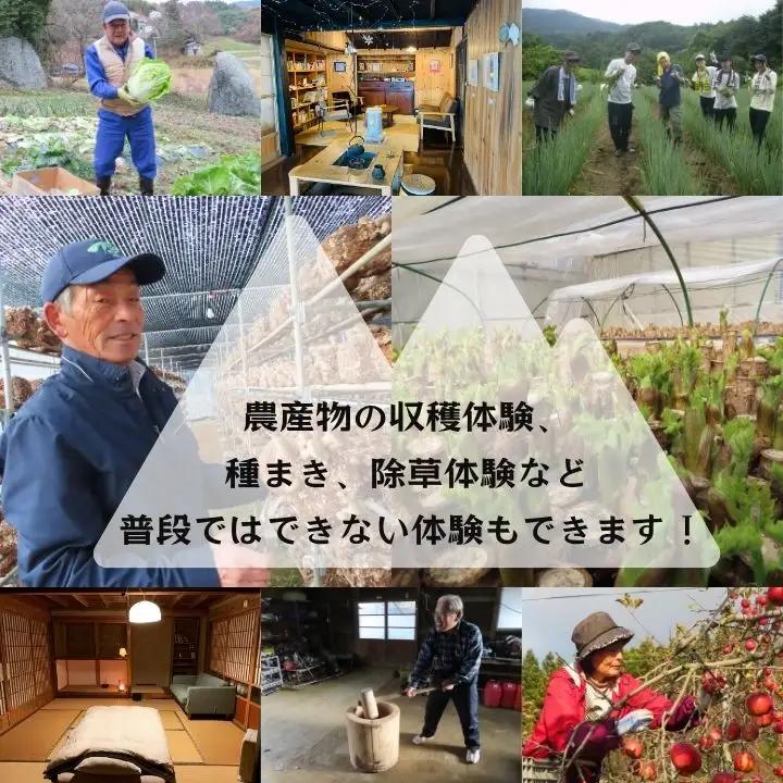 農家民宿ペア 宿泊券 1泊2日2食付き 農業体験込 2万円分【東和地域グリーンツーリズム推進協議会】