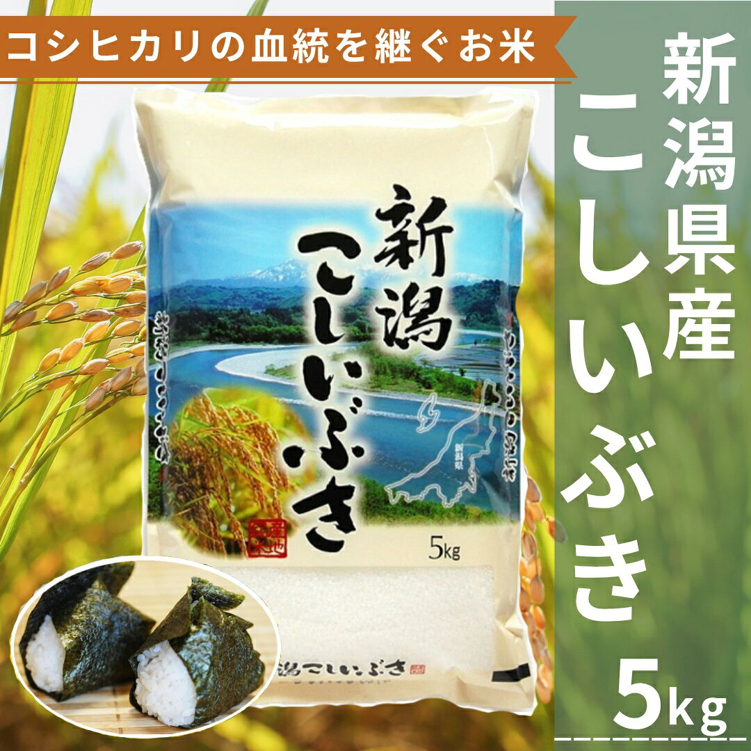 【ふるさと納税】【令和8年産新米予約】新潟産こしいぶき 5kg コシヒカリの美味しさを受け継ぐ 白米 精米 コシヒカリ系 早生品種 米 ごはん ライス ブランド米 お米マイスター 井上米穀店 新潟県 こめ コメ 新米 新米予約 令和8年産 10月上旬より順次発送予定