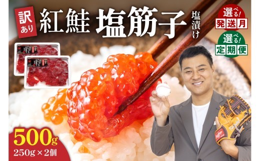 
            〈選べる回数・配送月〉【レビューキャンペーン実施中】年内配送　年内発送　北海道　訳あり 紅鮭塩筋子500g (250g×2個入）加藤水産 ひとくちカット　すじこ 魚卵 海鮮 おかず おにぎりの具 贈答 ギフト 人気 留萌市 R002-005-o
          