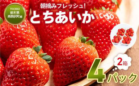 とちあいか4パック2箱 ※2026年1月上旬～4月下旬頃に順次発送予定 ※北海道・沖縄・離島への配送不可