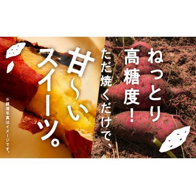 ふるさと納税 小松市 【先行予約】 さつまいも おやつ 野菜 ねっとり甘〜い おいもさん(紅はるか) 2.5kg |  | 01