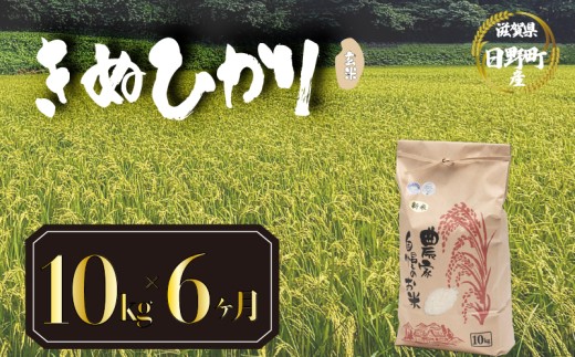 【 令和8年産 米 10kg 定期便 6ヶ月 】 きぬひかり 米 玄米 国産 滋賀県 日野町 農家直送 お米 おこめ こめ 産地直送 ふるさと納税