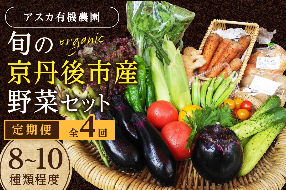【定期便4回】旬の京丹後野菜セットS（栽培期間中　農薬・化学肥料不使用）　AY00012