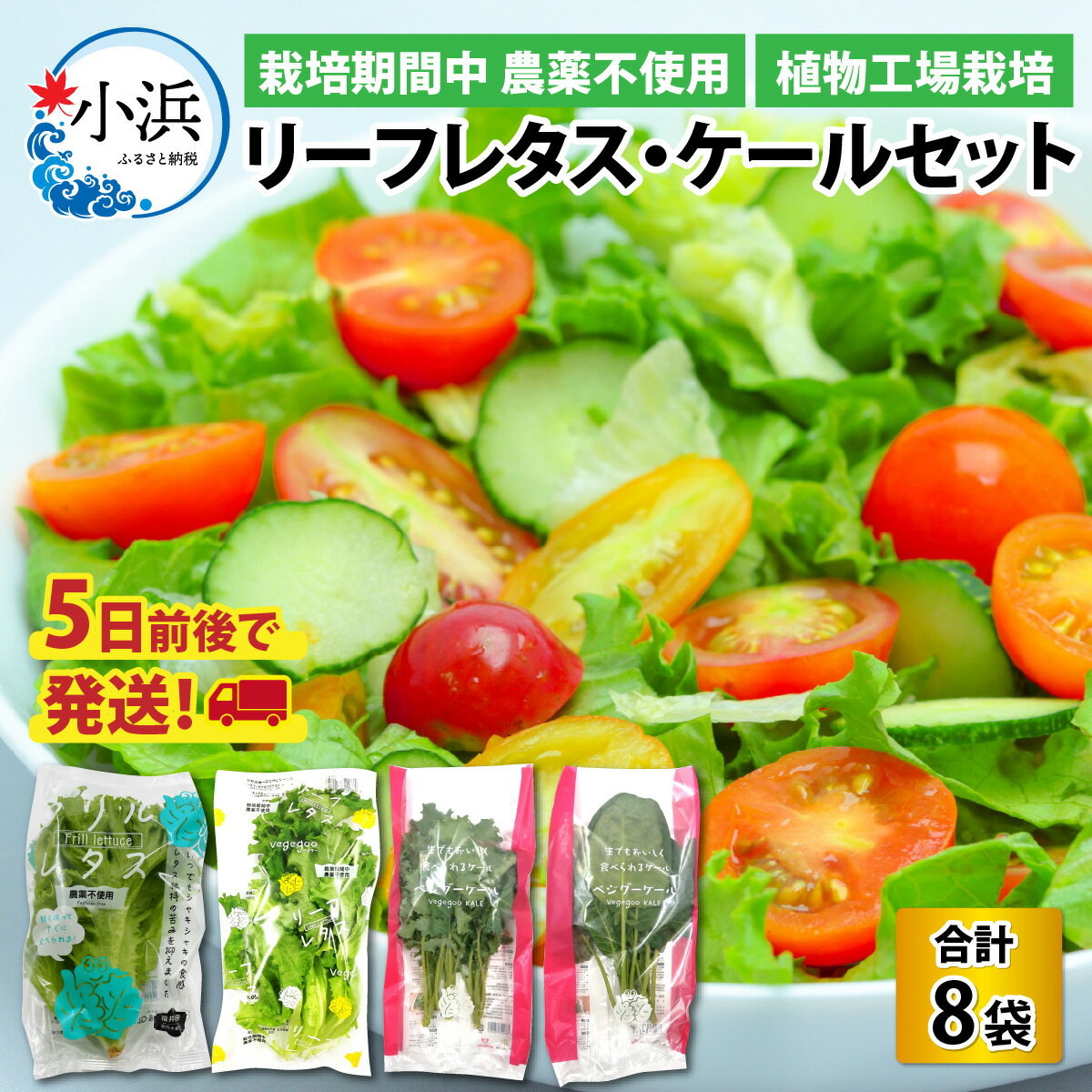 【ふるさと納税】植物工場栽培　リーフレタス・ケールセット【栽培期間中農薬不使用】 | 野菜 セット 詰合せ 地産地消 野菜セット 新鮮 旬 旬の野菜 冷蔵 送料無料 [Y-098001]