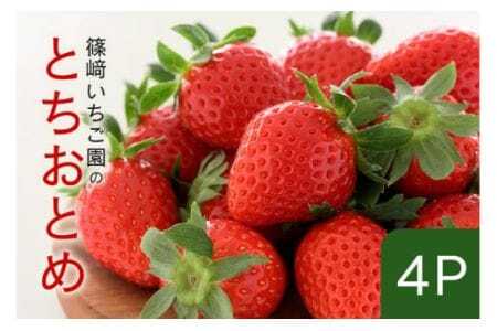【2026年先行予約】とちおとめ4P 期間限定 数量限定 甘い 大きい イチゴ 春 苺 旬 フルーツ 果物 デザート ギフト 贈答用 国産 採れたて 新鮮 いちご 産地直送 茨城県 石岡市 (A32-003)