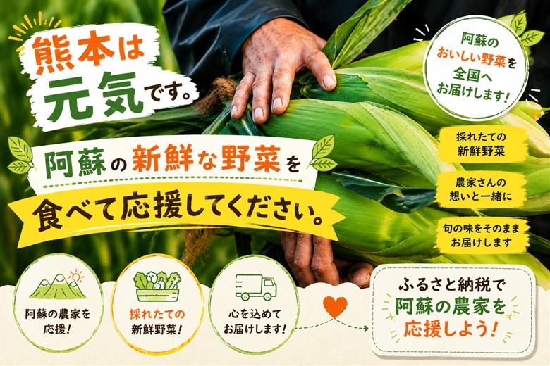 【選べるセット】【阿蘇 郷乃舎】阿蘇高原 農家直送こだわり野菜 6～8品 ×1回 郷乃舎 新鮮 やさい 果物 山菜 フルーツ 産地直送 詰め合わせ お取り寄せ 熊本県 阿蘇市 野菜セット（6～8品）