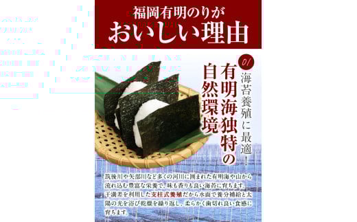 訳あり 海苔 のり 有明海 福岡有明のり120枚(全形40枚×3袋) 《45日以内に出荷予定(土日祝除く)》 有明海 訳アリ ---fn_araksc_45d_23_11000_120p---　|　訳