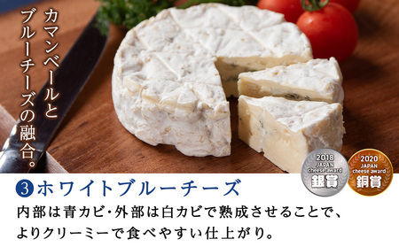 チーズ3種セット クリームチーズ・カマンベール・ホワイトブルーチーズ 各2個 セット