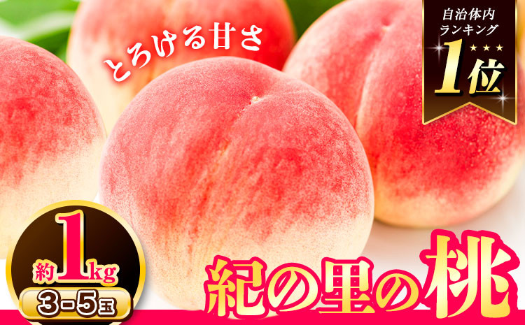 
                  【アフター保証付】桃 もも ～とろける甘さ～和歌山県産 紀の里の桃 お試し! 約1kg (3-5玉入り)《2026年6月中旬-8月中旬頃出荷》
                