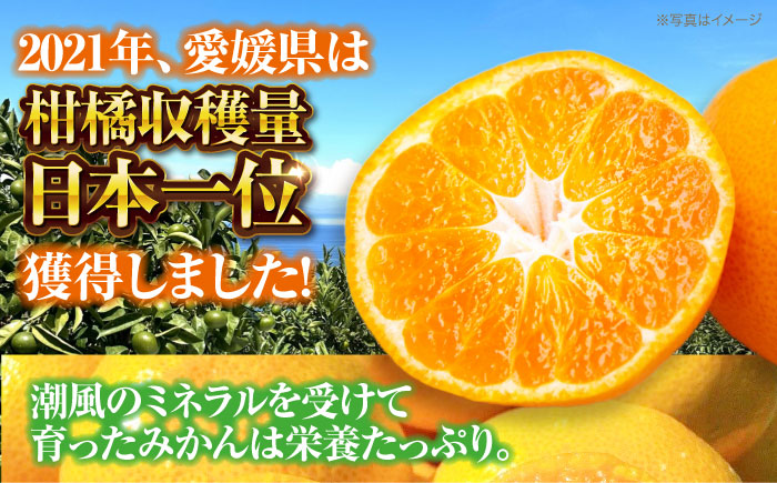 【10月上旬より順次配送】 酸味さわやか愛媛じるし! 温州みかん 2.5kg （2Sから2L混合サイズ） みかん 愛媛 みかん ジュース 果物 くだもの フルーツ 愛媛県大洲市/玉川農園 [AGBC0