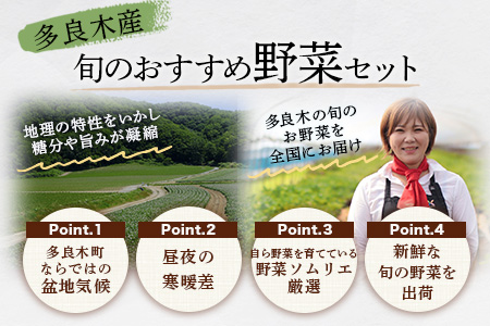 【定期便 3回】野菜ソムリエ 監修【 野菜で野菜を食べる 】旬の おすすめ 野菜＆ドレッシング 定期便 (1〜2名様向け) 野菜 獲れたて 直送 旬 新鮮 セット 詰め合わせ 詰合せ 定期便 産地 直