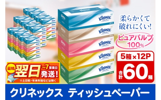 ティッシュ クリネックス ティシュー 5箱×12パック 日用品 最短翌日発送 [クリネックス ティッシュ ボックスティッシュ 日本製紙クレシア]