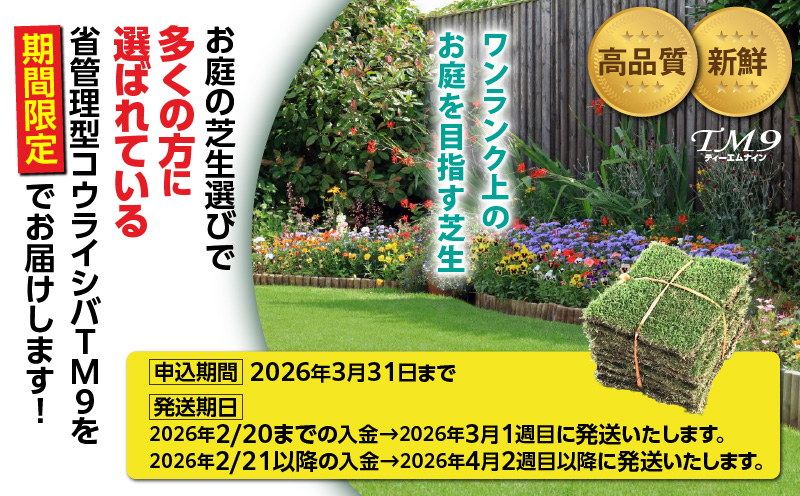 TM9（ティーエムナイン）省管理型コウライシバ トヨタ自動車(株)開発品種 1平米　KN080-007-01