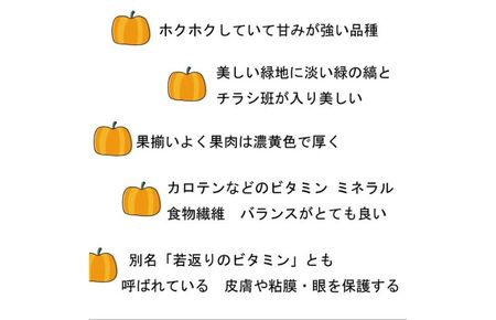 【数量・期間限定】ふらの産 かぼちゃ10kg［くり大将］ 富良野 北海道 カボチャ 南瓜 甘い 野菜