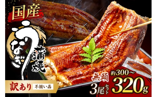 【訳あり】老舗魚屋のこだわり国産鰻 うなぎの蒲焼き3尾セット【魚住商店】_HA1997 うなぎ 国産 こだわり 丑の日 おいしい 福岡県宗像市 宗像市 福岡 宗像