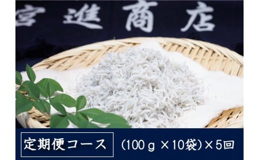 
定期便 5ヶ月 釜揚げ しらす 1kg 個包装 計 5kg 新鮮 冷凍 シラス 熨斗 贈答 5回 高知県産 MS1000
