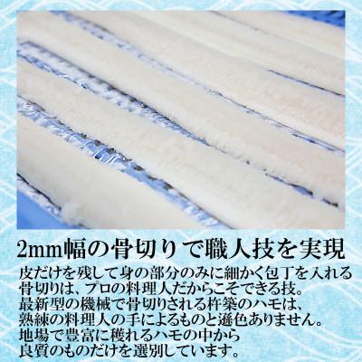ふるさと納税 杵築市 大分県産活じめ鱧(はも)1本物 骨切り切身 たっぷり 1000g |  | 01