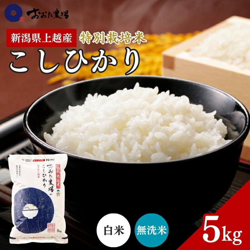 【ふるさと納税】米 【令和7年産】 新潟県上越産 特別栽培米 コシヒカリ 【白米/無洗米】 5kg 5キロ お米 こめ 白米 こしひかり　お届け：2025年12月下旬から順次発送