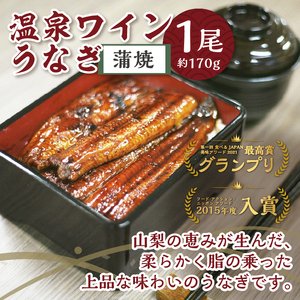 富士の湧き水や山梨の温泉で育った絶品推し【甲斐サーモン】西京漬け＆塩こうじ漬け 1kg超＆【温泉ワインうなぎ】蒲焼 1尾(大)