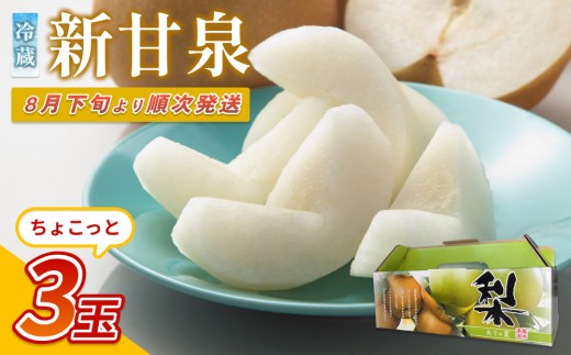【先行予約】中野農園 梨 ”新甘泉” 3玉 冷蔵便発送｜鳥取 岩美 梨 なし ナシ  赤梨 果物 フルーツ ※お届けは2026年8月下旬頃～【41078】