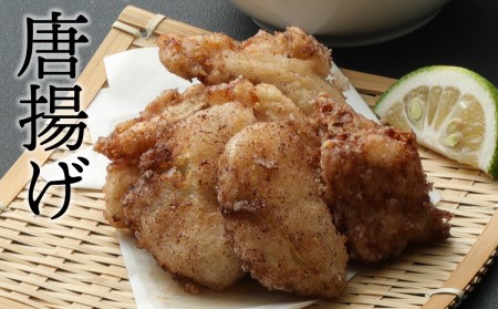 老舗ふぐ専門料亭の味をご家庭で【御宿料亭　春光園】ふぐセット（２人前）