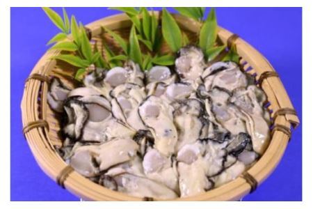 【期間限定発送】 三陸産 牡蠣 剥き身 加熱用 1kg