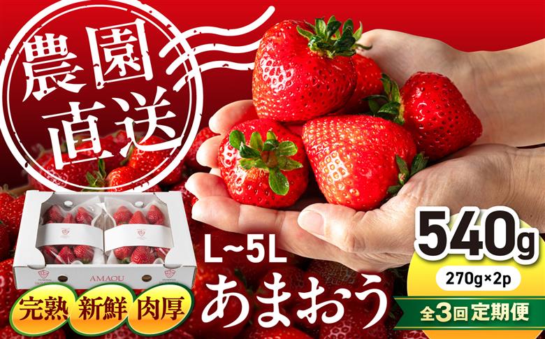 【月1回・全3回定期便】糸島 あまおう 270g×2パック【2027年1月～3月にて順次発送】 (A品B品含むL～5L) 糸島市 / 磯本農園 / TANNAL [ATB009] いちご 苺 イチゴ 