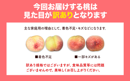 【先行予約】訳あり桃 約4kg 岸武青果株式会社《6月下旬-8月末頃出荷》桃桃
