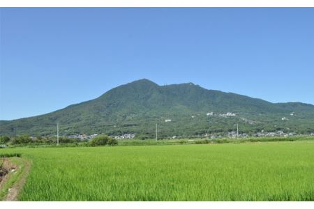 No.179 【令和5年産】茨城県産コシヒカリ10kg（5kg×2袋）精米 JA茨城むつみ