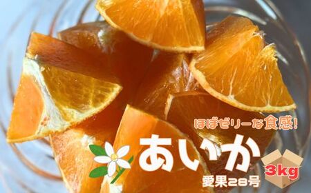 愛果28号 3kg ご家庭用 みかん 愛媛 【2025年12月から順次発送】 先行予約 数量限定 愛媛県産 人気 柑橘 伊予市｜B246