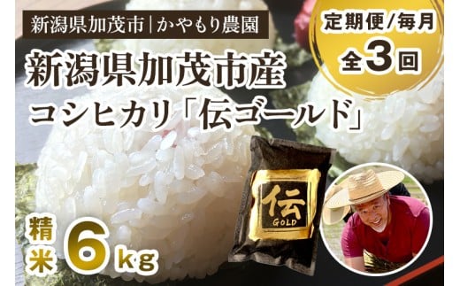 【令和7年産】【定期便3回毎月お届け】新潟産コシヒカリ「伝ゴールド」白米真空パック 精米 6kg（1.5kg×4）《9月下旬から順次出荷》 南麻布の高級料亭で提供される極上米 かやもり農園