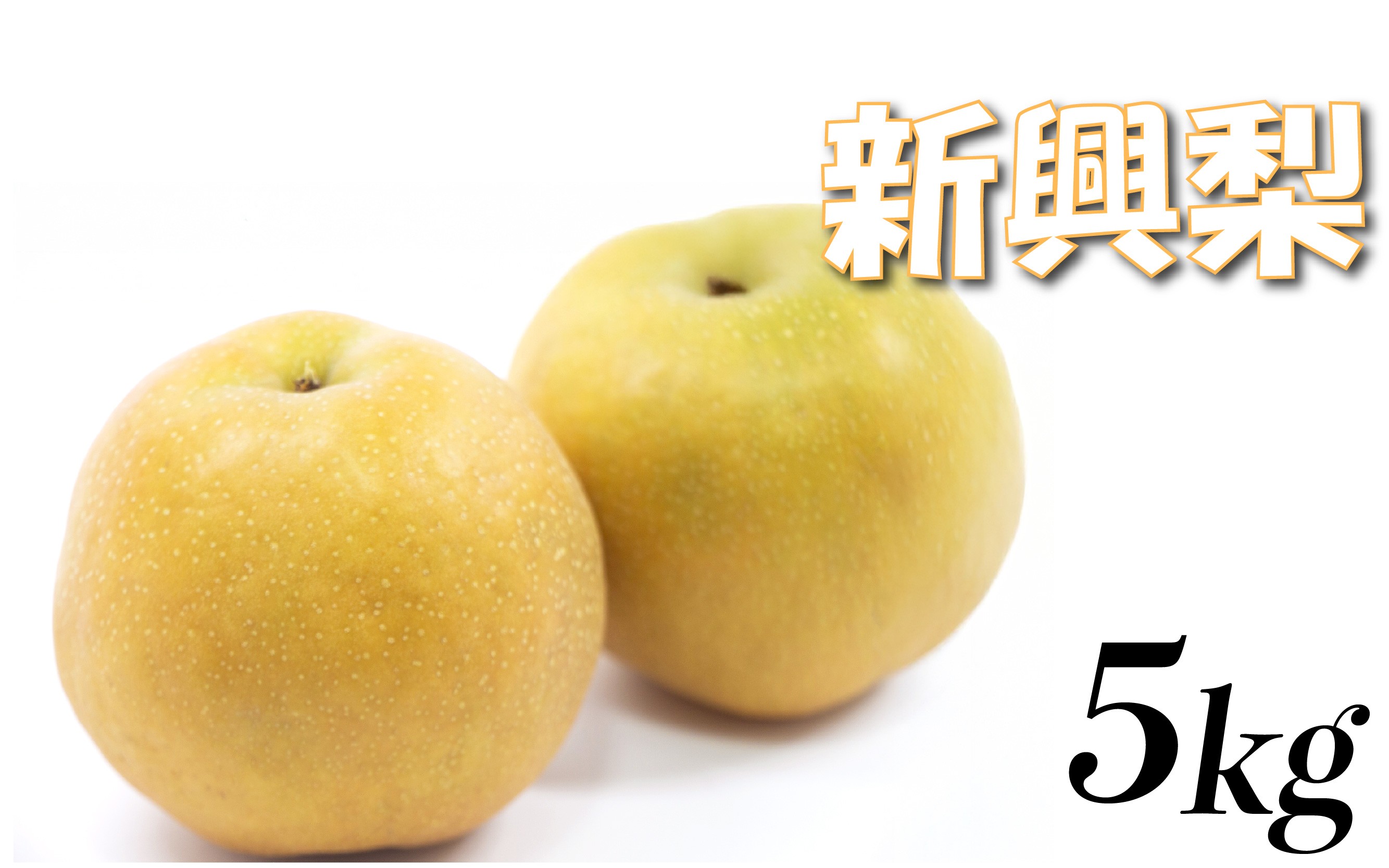 
                  【先行予約】中野農園 梨 ”新興梨” 5kg箱｜鳥取 岩美 梨 なし ナシ 赤梨 果物 フルーツ ※お届けは2026年11月以降【41084】
                