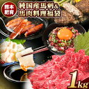 【ふるさと納税】【楽天限定】純 国産 馬刺し ＆ 馬肉 料理 福袋 計1kg 熊本 肥育 2年連続農林水産大臣賞受賞《90日以内に出荷予定(土日祝除く)》 送料無料 馬刺し 馬肉 上赤身 馬肉 ソーセージ ハンバーグ 馬とろ コーネ たてがみ 熊本県産山村 冷凍