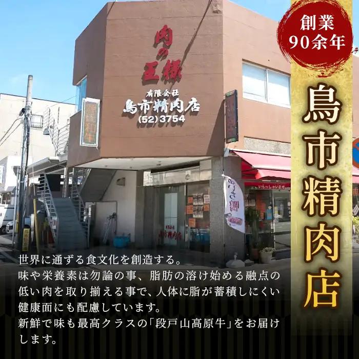 赤身が美味しい！国産牛 フルコースセット 段戸山高原牛 ロース ステーキ 焼き肉 カルビ 赤身 すき焼き しゃぶしゃぶ -050