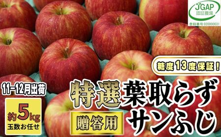 りんごサンふじ贈答用葉取らず特選青森県産りんご【約5kg】