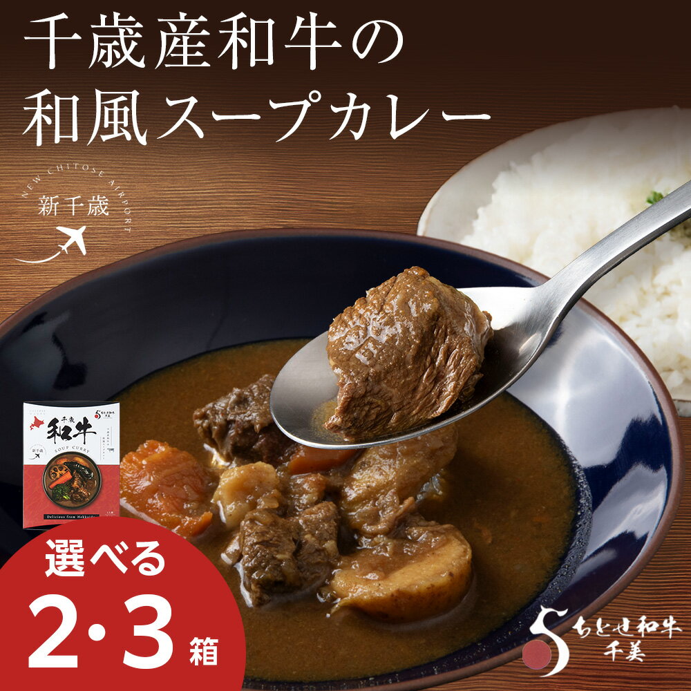 【ふるさと納税】千歳産和牛の和風スープカレー（1箱260g） 選べる2～3箱スープカレー ご当地 グルメ ソウルフード レトルト レンジ調理 惣菜 カレー 北海道ふるさと納税 千歳市 【北海道千歳市】ギフト ふるさと納税