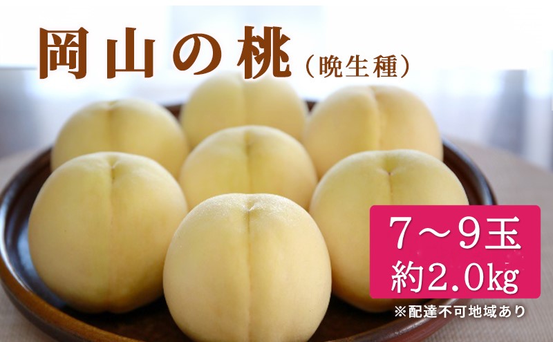 桃 2025年 先行予約 特選 岡山の桃 7～9玉 約2kg 晩生種 もも モモ 岡山県産 国産 フルーツ 果物 ギフト いろは堂