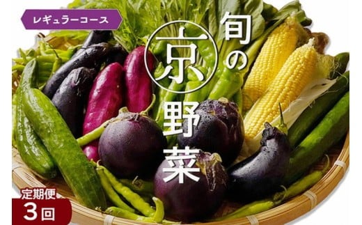【4月発送】野菜定期便 3回 4~6種類 旬の京野菜 レギュラーコース 詰め合わせ 季節 旬 野菜 やさい 野菜便 国産 国産野菜 新鮮 おまかせ 産地直送 春野菜 夏野菜 秋野菜 冬野菜 葉物 果菜 根菜 カット野菜 京都府産 亀岡市産 京丹波町産 季節の野菜 九条ネギ なす 唐辛子 サラダ トマト 京水菜 壬生菜 スナップエンドウ 聖護院大根 聖護院かぶら 里いも つるむらさき 送料無料