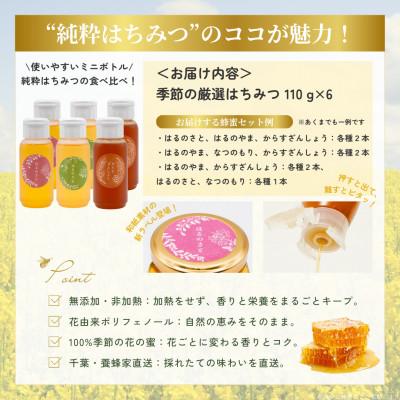 ふるさと納税 大網白里市 千葉県産「厳選純粋はちみつ」110gボトル×6本【ランダムにセレクト】 |  | 03