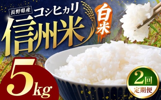 令和7年産 信州米 【定期便2回】長野県産 コシヒカリ 白米 5kg | 米 こしひかり コシヒカリ 定期 2回 3回 白米 精米 コメ お米 おこめ 信州米 5kg 10kg 15kg  塩尻市 長野県 信州