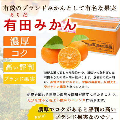 V6050_【2024年 先行予約】ブランド有田みかん【Ｍ】秀品10kg／産地直送／薄皮で甘い美味しい和歌山県産／紀伊国屋文左衛門本舗（お届け日指定不可）