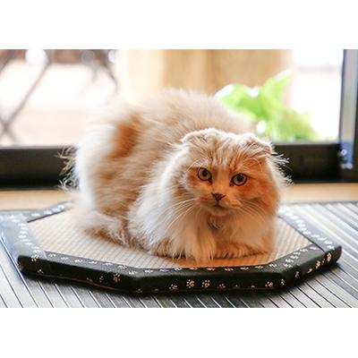 ふるさと納税 加西市 ひょうごの匠がつくる畳インテリア 八角形畳 灰桜色[No5698-7502] |  | 02