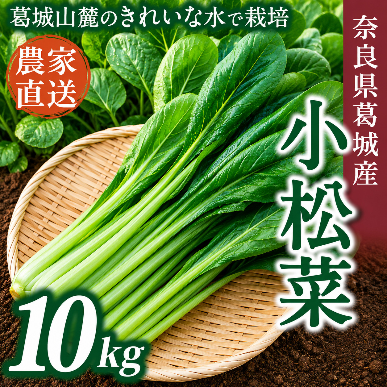 奈良県産 小松菜 約10kg  【順次発送】／ スマイル葛城農業 野菜  小松菜 農家直送 産直 新鮮 旬 サラダ 名産 健康 美容 栄養 奈良県 葛城市【smlk063】
