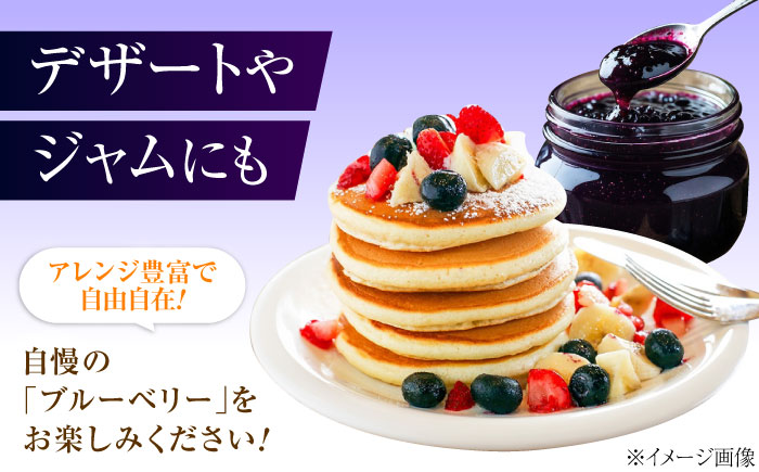 ブルーベリー 生ブルーベリー110ｇ×10パック【7月上旬から8月下旬まで順次発送】 / 冷蔵 フルーツ 果物 ブルーベリー 生 ジャム スムージー ドリンク / 愛媛県砥部町/西岡さん家のみかん園 