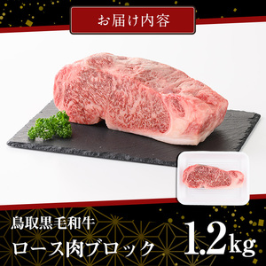 鳥取黒毛和牛ロースブロック(1.2kg)国産 黒毛和牛 牛肉 ロース ブロック ステーキ ローストビーフ 焼肉 BBQ バーベキュー ギフト 贈答 【sm-AP005】【いろは精肉本店】