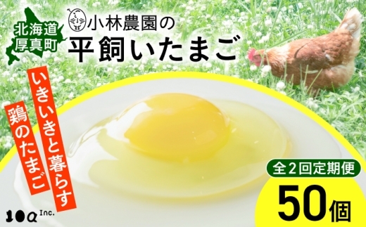 【全2回定期便】【常温配送】小林農園の平飼いたまご・無投薬 50個《厚真町》【テンアール株式会社】 有精卵 卵 鶏卵 玉子 生卵 平飼い 北海道 定期便 [AXAN129]